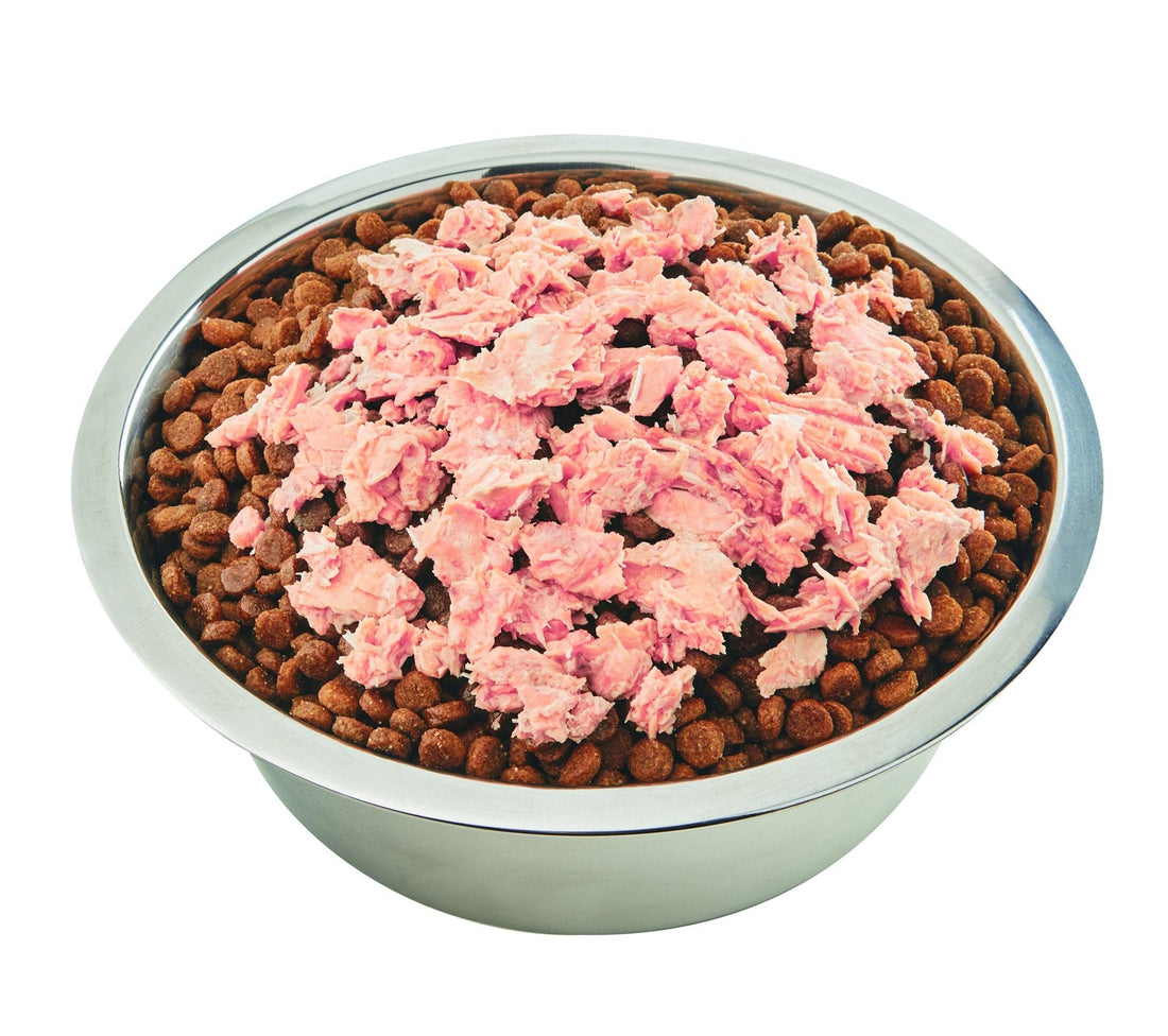 A bowl of kibble topped with flaked wild salmon meal topper
